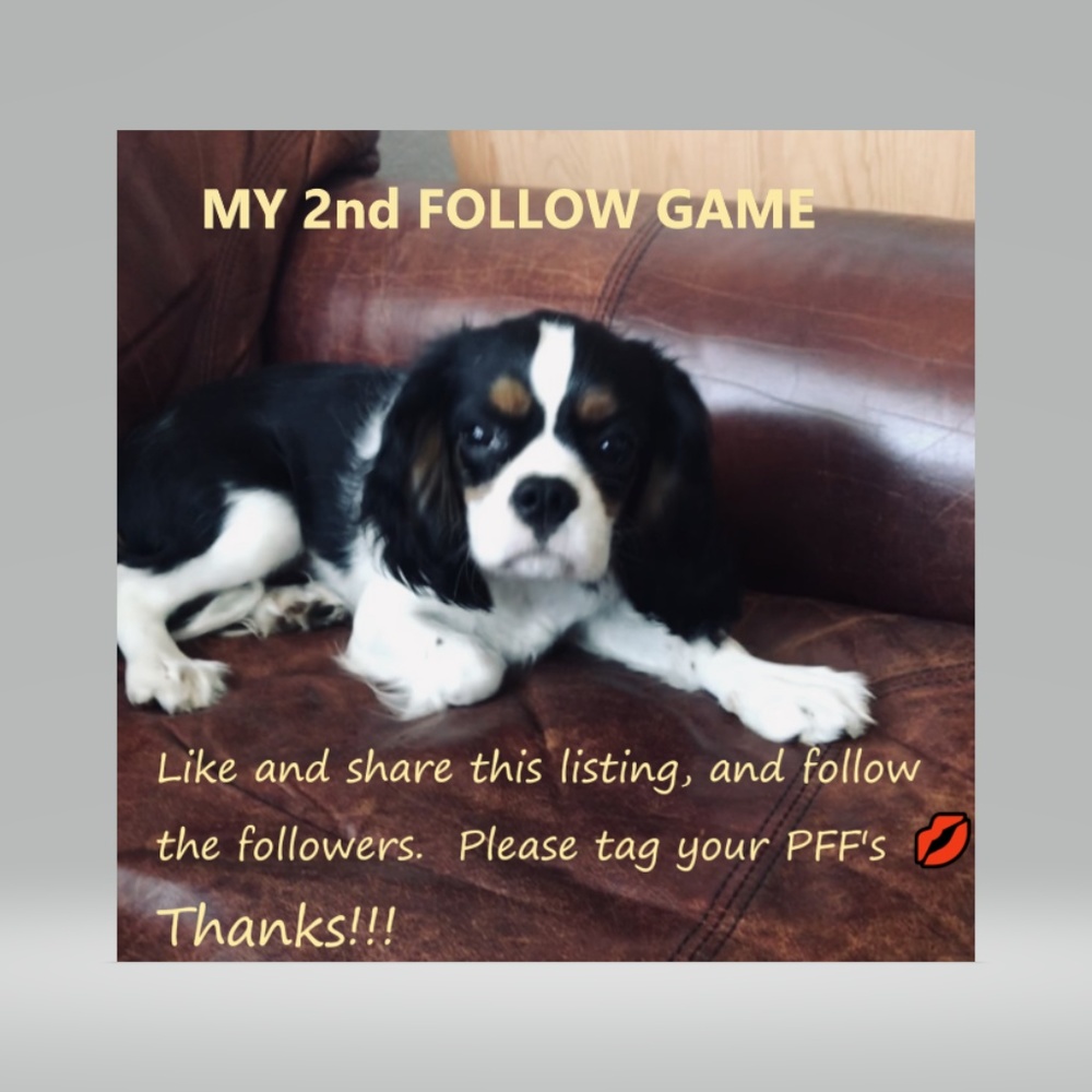 MY 2nd FOLLOW GAME - Picture 2 of 8